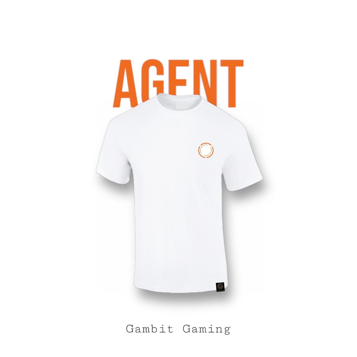 Agent - Gambit Gaming