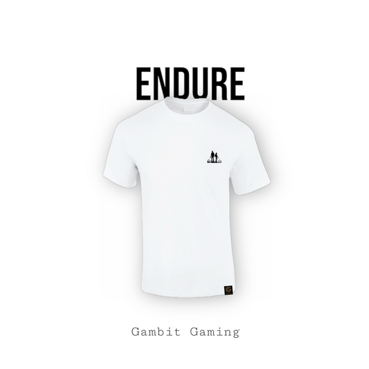 Endure - Gambit Gaming