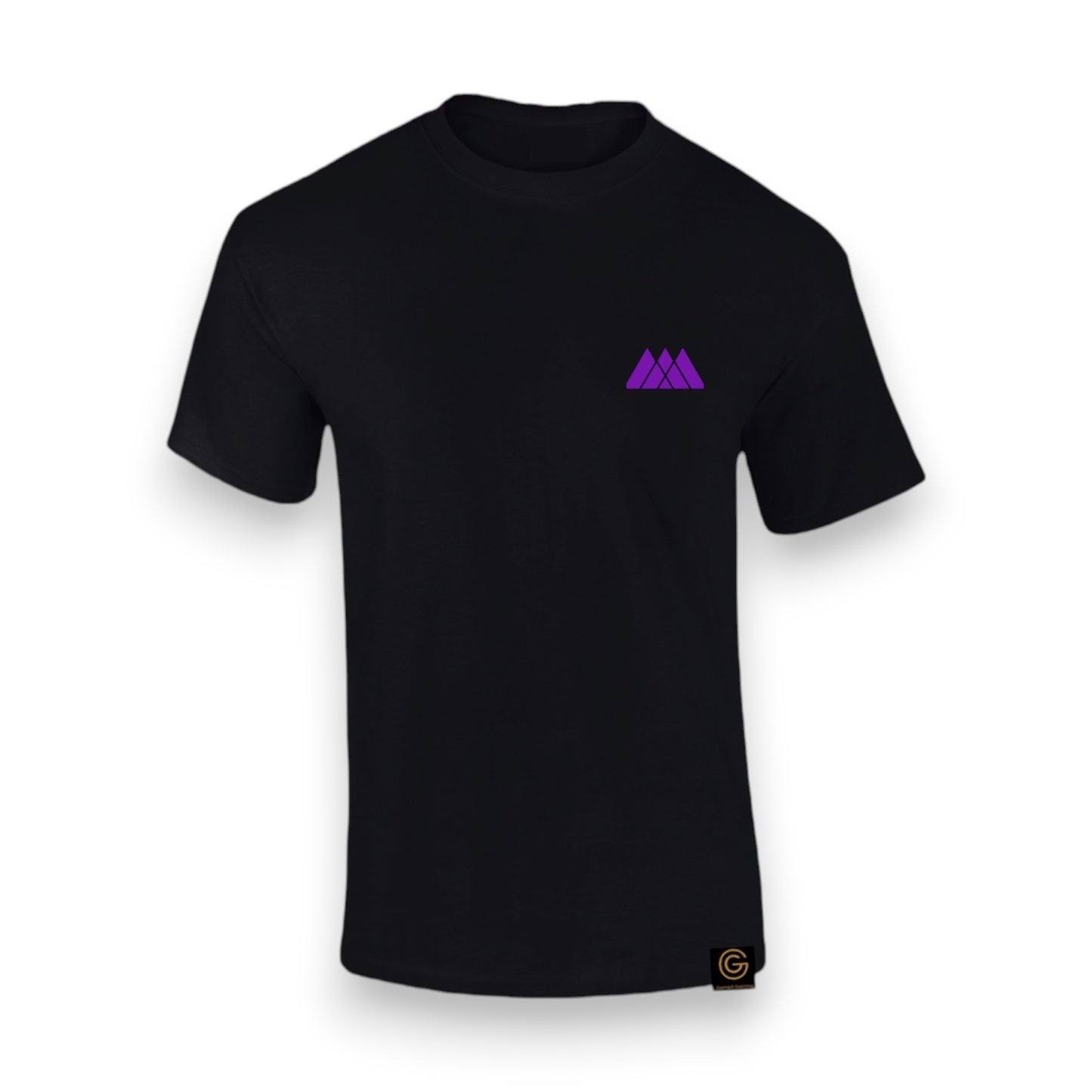 The Guardian - Arcane